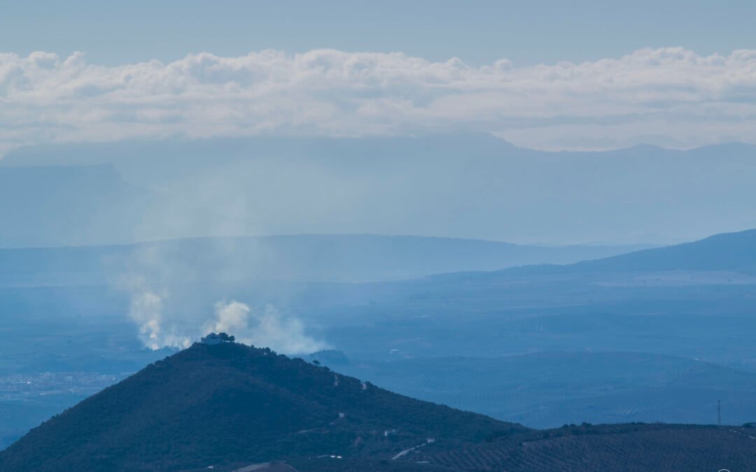 Día meteorológico mundial