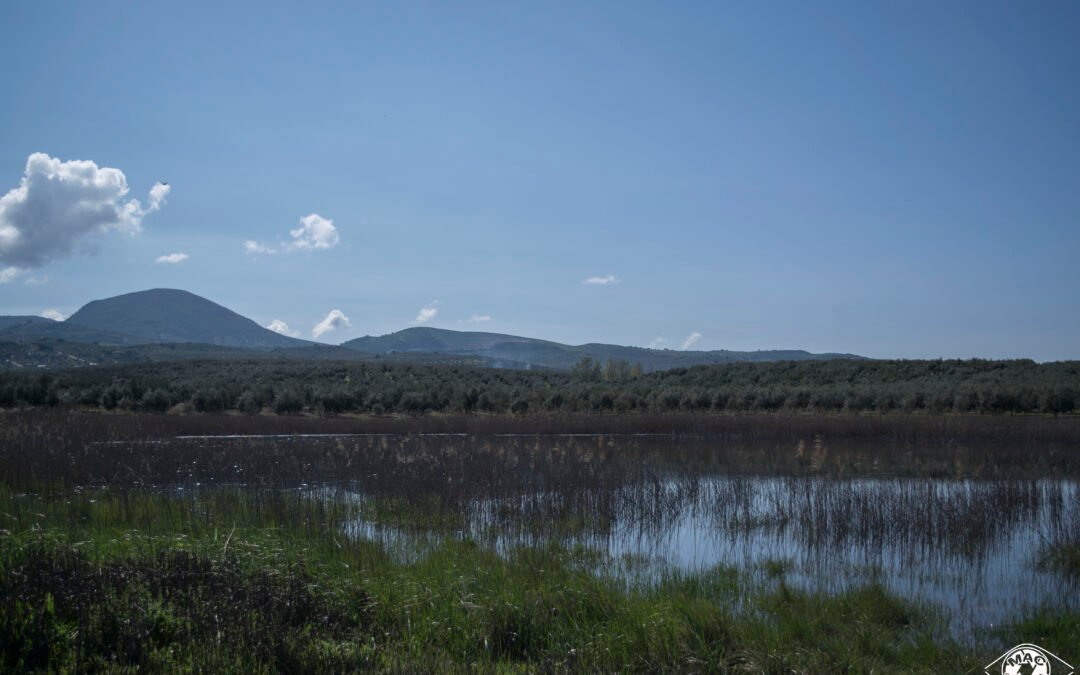 Día Internacional de la Madre Tierra. «La Tierra que habitamos»