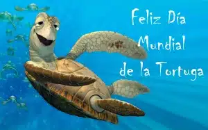 Día mundial de las tortugas