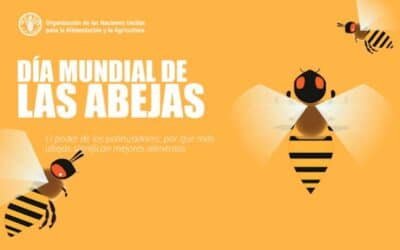 Día mundial de las abejas