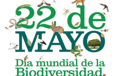 Día internacional de la biodiversidad 2024