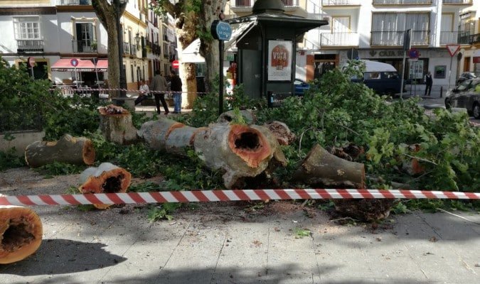 ¿Vale más una imagen que mil palabras?