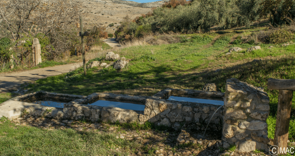 Día internacional del agua. Fuente de Jarcas