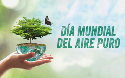 Día mundial del aire puro